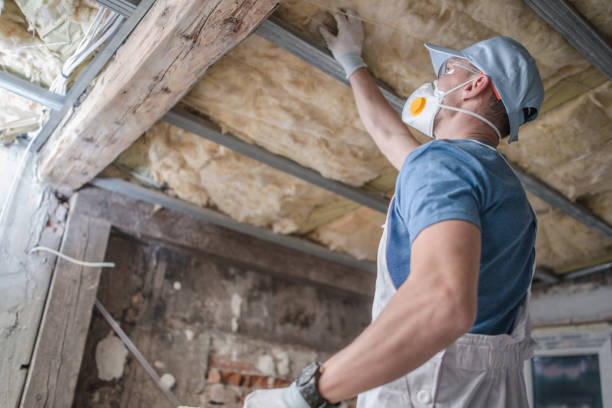 Best Soundproof Insulation Installation  in Yankton, SD