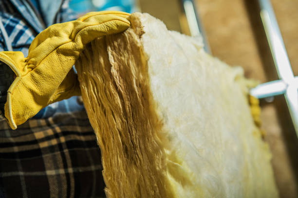 Best Insulation Repair Services  in Yankton, SD