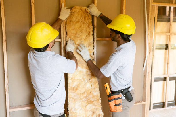 Professional Insulation Contractor in Yankton, SD