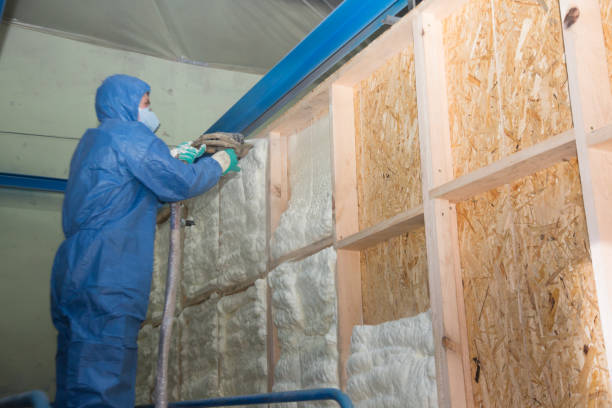 Garage Insulation Installation in Yankton, SD